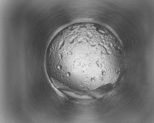 X0000056371245200509161846