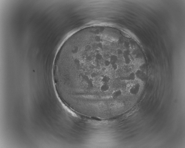 X0000056371247200509161846