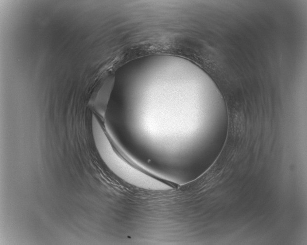 X0000056371250200509161845