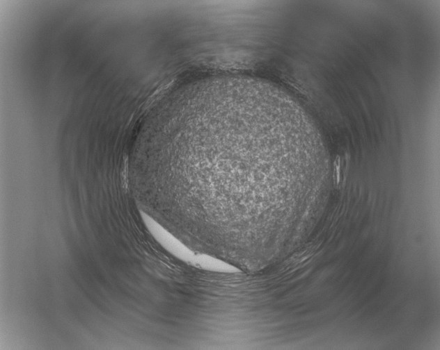 X0000056371251200509161845