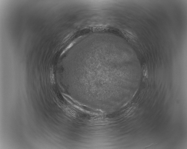 X0000056371252200509161845