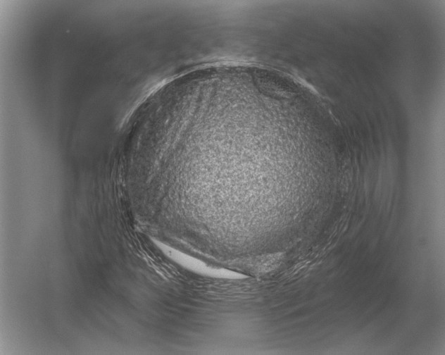 X0000056371255200509161845