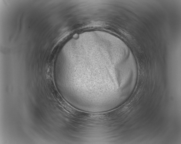 X0000056371258200509161845