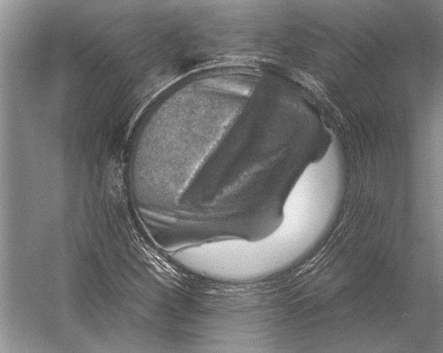 X0000056371260200509161845