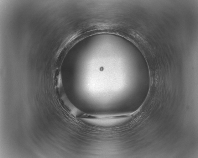 X0000056371261200509161845