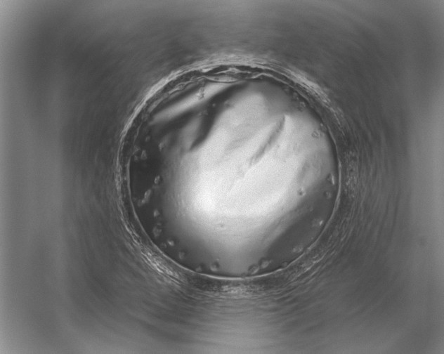 X0000056371264200509161845