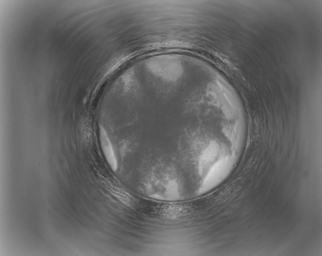 X0000056371266200509161845