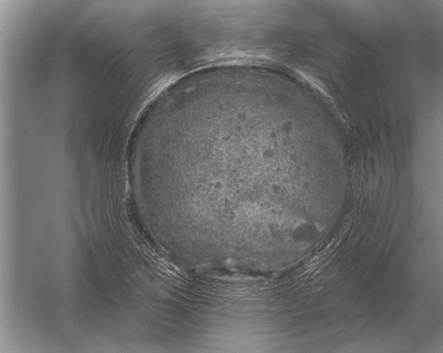 X0000056371267200509161845