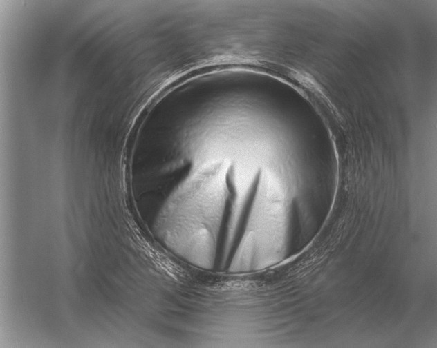 X0000056371268200509161845