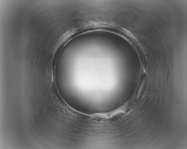 X0000056371269200509161845