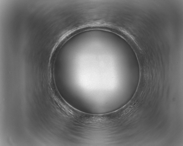 X0000056371270200509161845