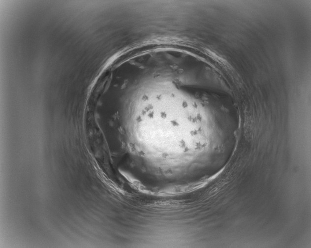 X0000056371272200509161845