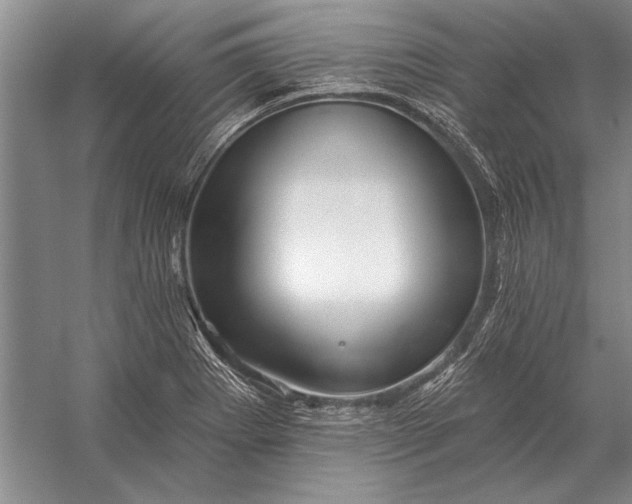 X0000056371273200509161845