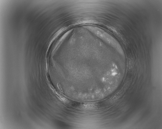 X0000056371274200509161845