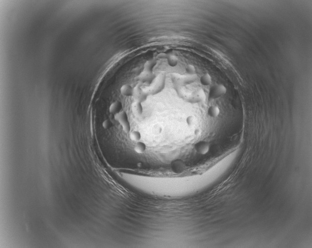 X0000056371275200509161845