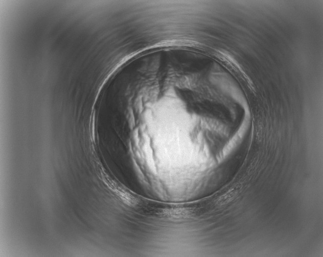 X0000056371276200509161845