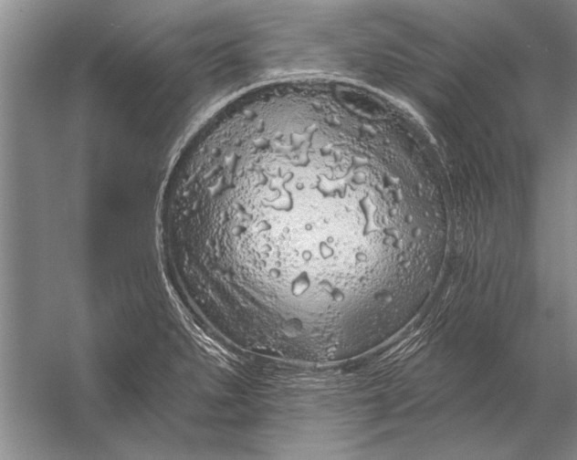 X0000056371279200509161845