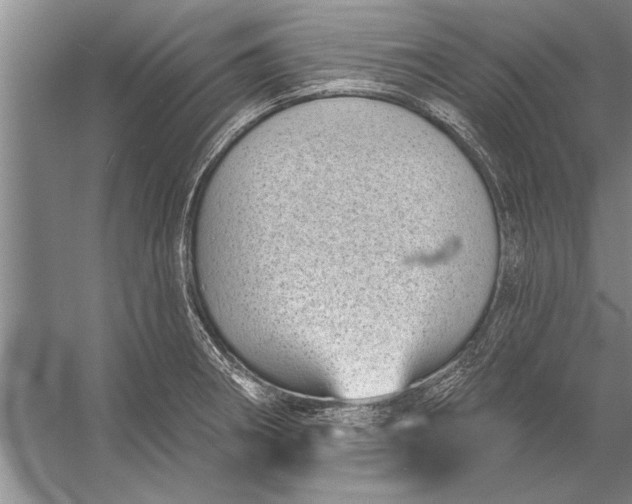 X0000056371282200509161845