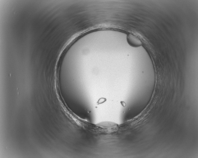 X0000056371286200509161845