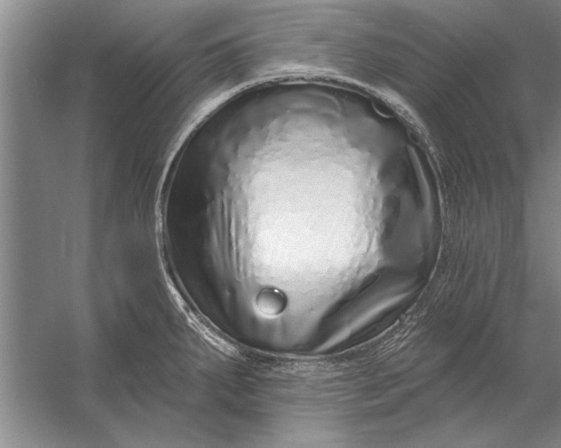 X0000056371287200509161845