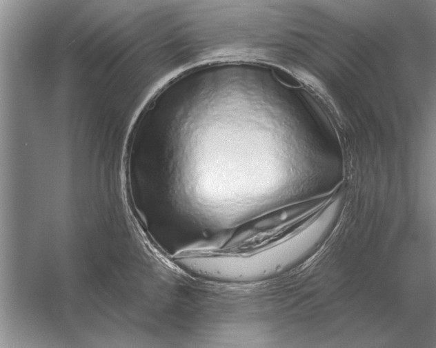 X0000056371288200509161845