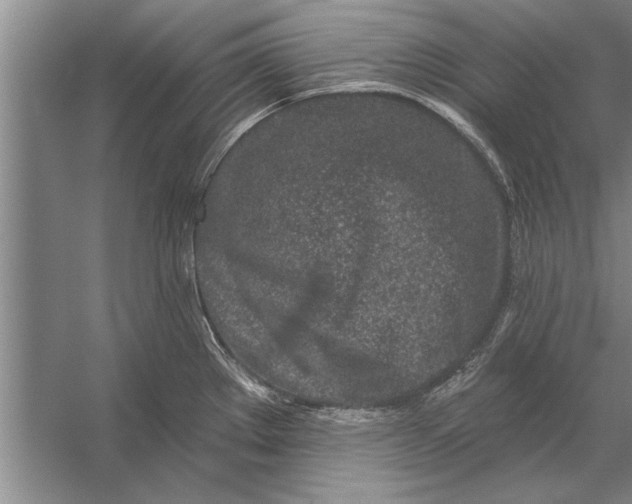 X0000056371289200509161844