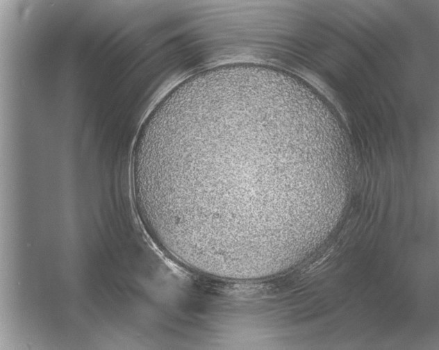 X0000056371290200509161844