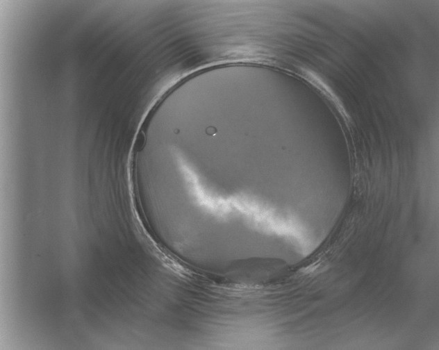 X0000056371291200509161844