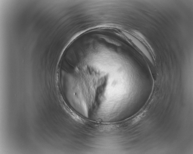 X0000056371292200509161844