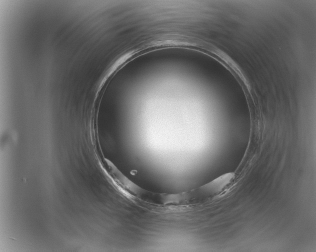 X0000056371293200509161844