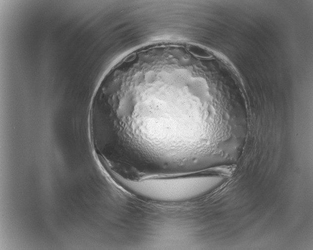 X0000056371295200509161844