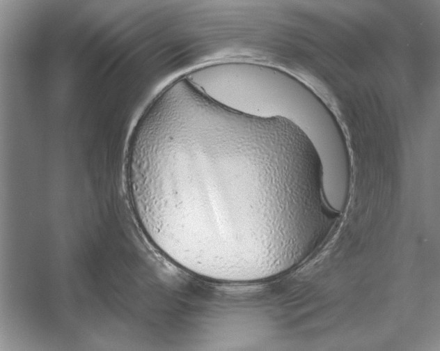 X0000056371296200509161844