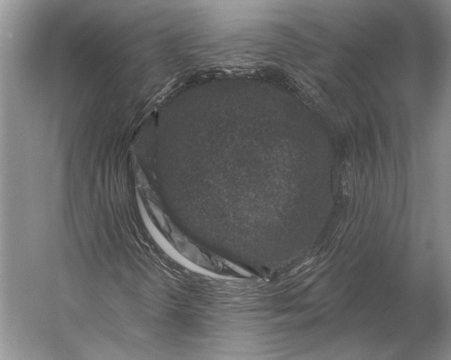 X0000056371298200509161844