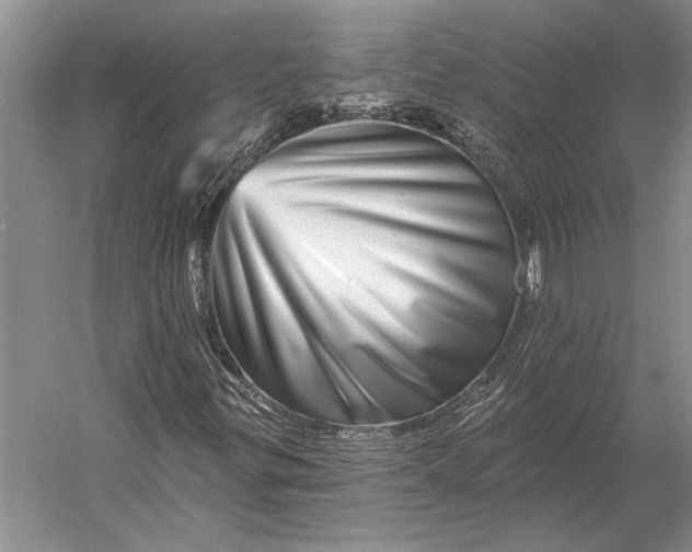 X0000056371299200509161844