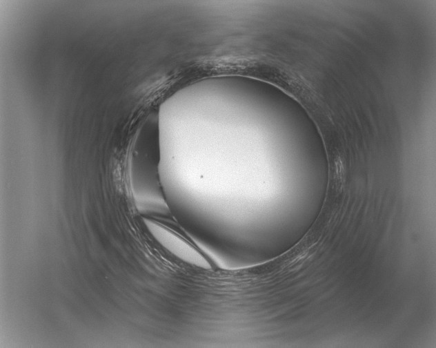 X0000056371300200509161844