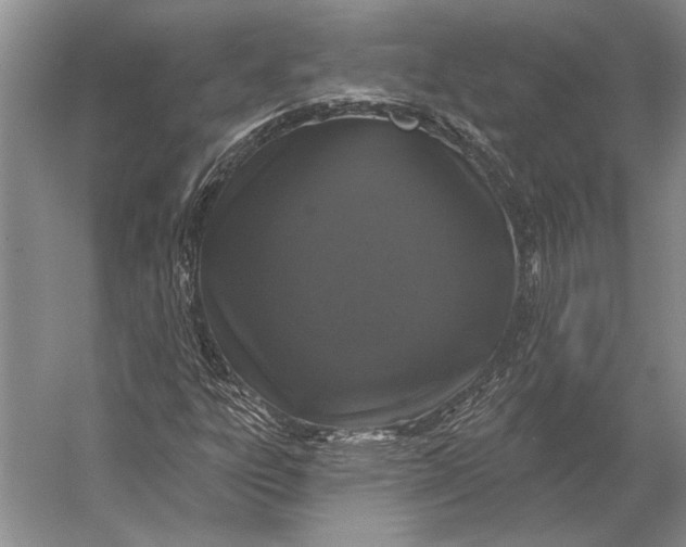 X0000056371303200509161844