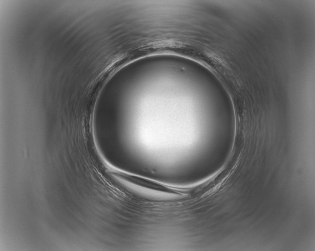 X0000056371305200509161844