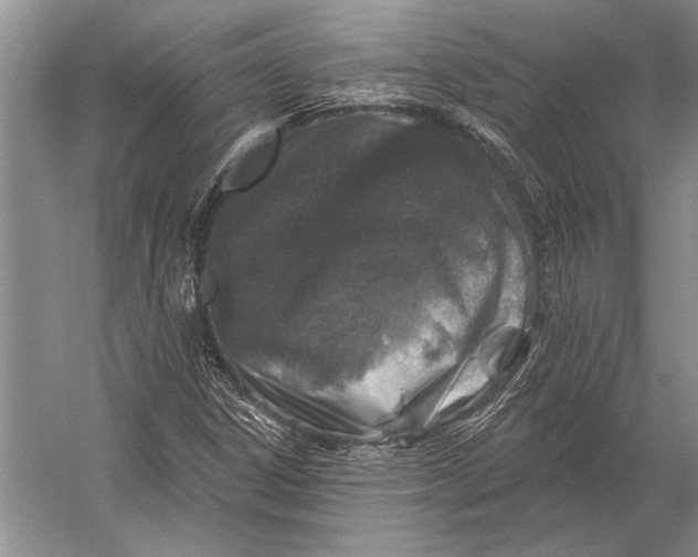 X0000056371306200509161844