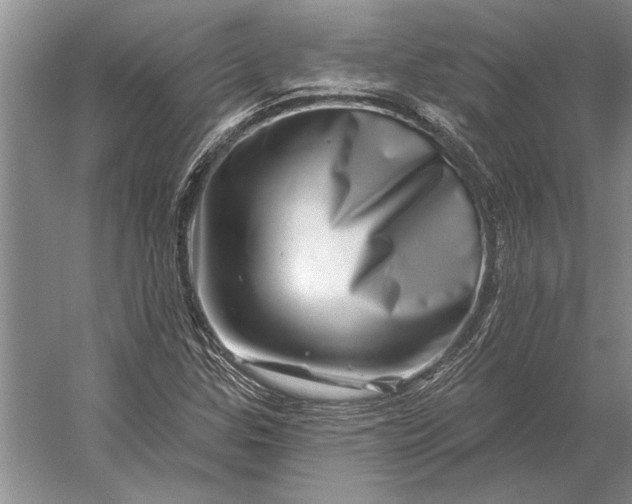 X0000056371307200509161844