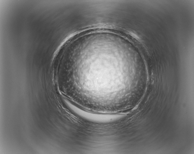 X0000056371310200509161844