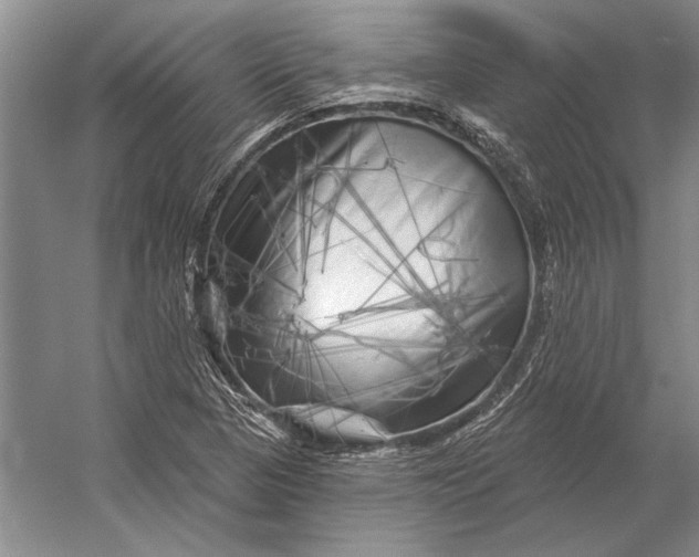 X0000056371313200509161844