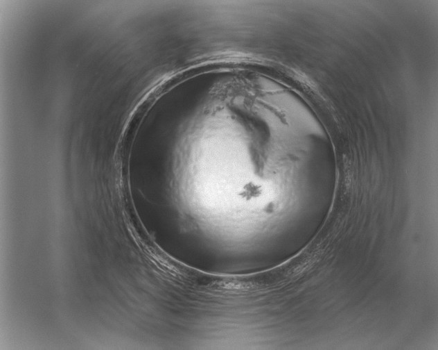 X0000056371318200509161844