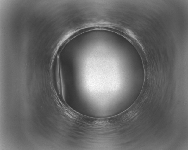 X0000056371320200509161844