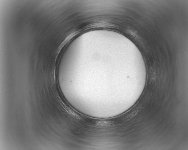 X0000056371322200509161844