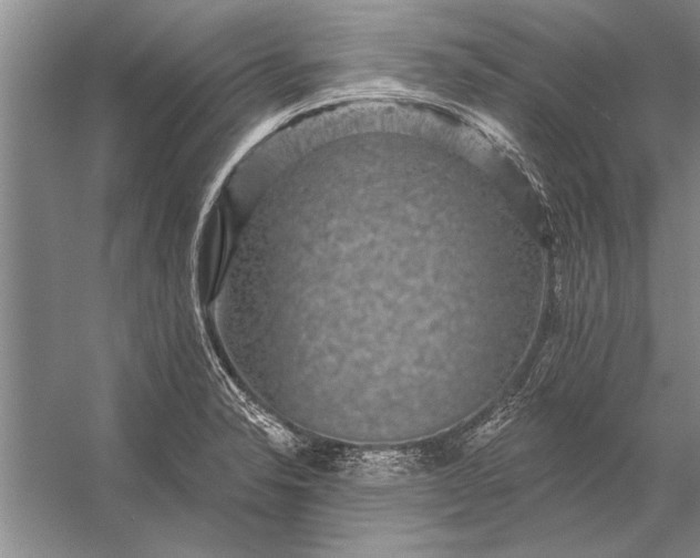 X0000056371326200509161844