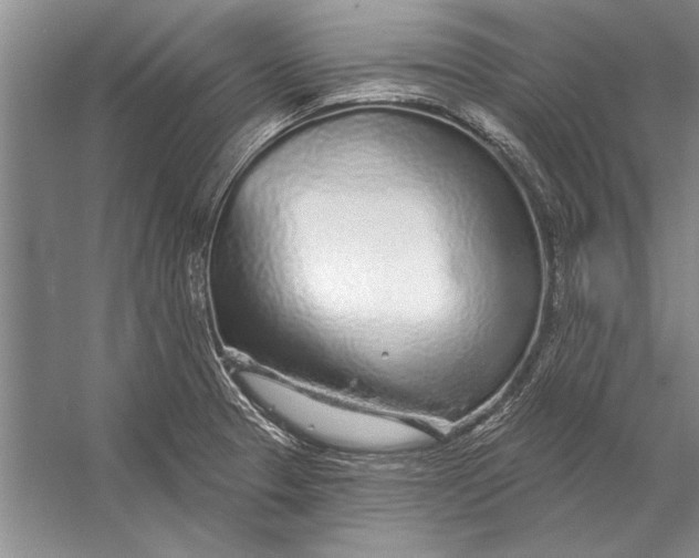 X0000056371329200509161844