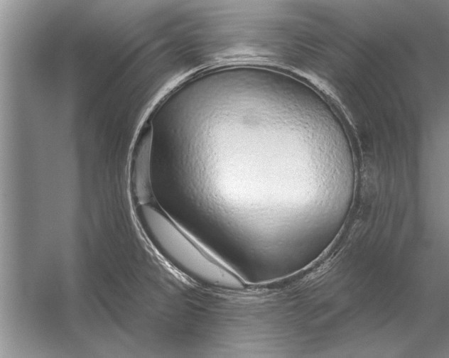 X0000056371333200509161844