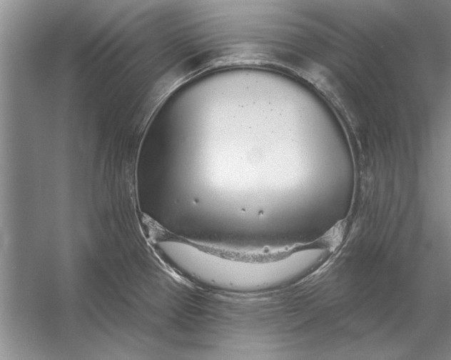 X0000056371337200509161844