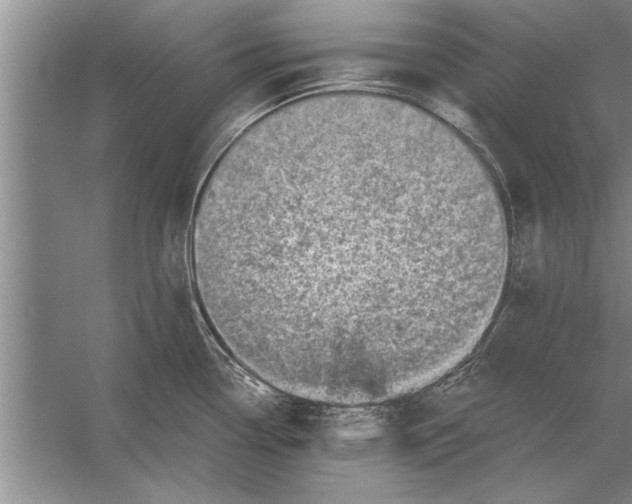 X0000056371338200509161844