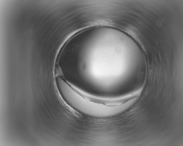 X0000056371339200509161844